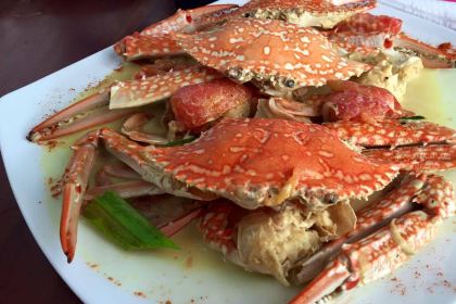 Serendipity Arts Cafe