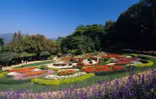 อุทยานศิลปวัฒนธรรมแม่ฟ้าหลวง (ไร่แม่ฟ้าหลวง)