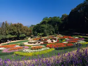 Mae Fah Luang Art and Culture Park