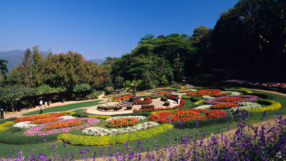 Mae Fah Luang Art and Cultural Park (Rai Mae Fah Luang)