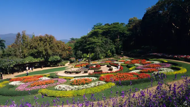 อุทยานศิลปวัฒนธรรมแม่ฟ้าหลวง (ไร่แม่ฟ้าหลวง)