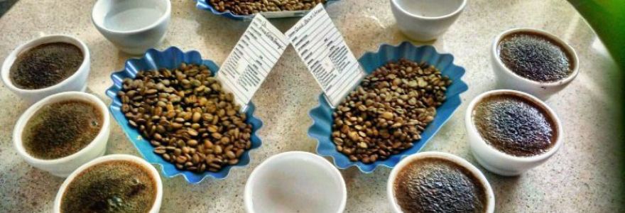 Honolulu Coffee at Moana Surfrider