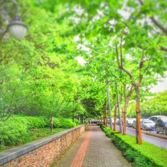 南苑·铁板烧 User Photo