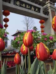 Datang Peony Garden (Northeast Gate)