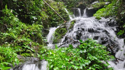 Qing Mountain Waterfall