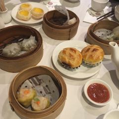 Shark Fin House(Chinatown) User Photo