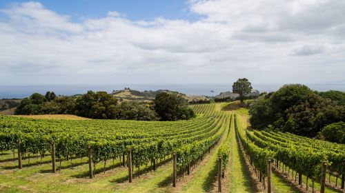 Waiheke Island