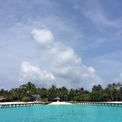 Iru Restaurant User Photo