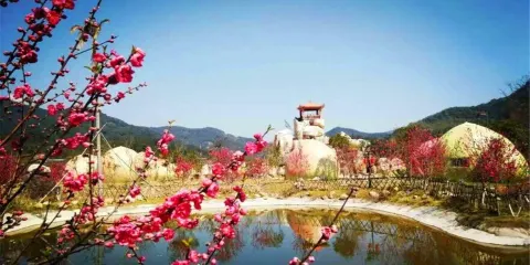 南埕桃花島農家美食館（福巴線店）