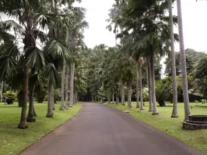 Bogor Botanical Gardens