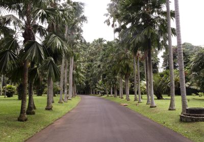 Central Bogor