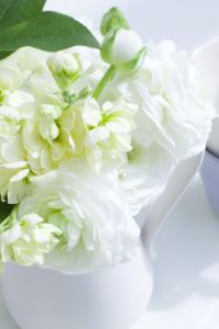 xcathy 漢永飯店（深圳國際會展福永店）優惠