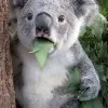 Avatar 2