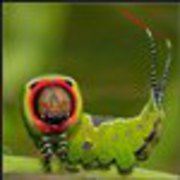 user-avatar