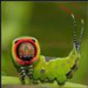 user-avatar