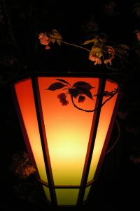 1582930**** 因特拉肯多諾德酒店優惠