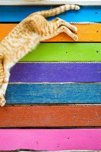 peige1111 漢庭酒店（重慶萬盛老街店）優惠