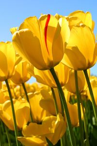 angmama 漢庭飯店（福州三坊七巷東街口地鐵站店）優惠