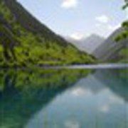user-avatar