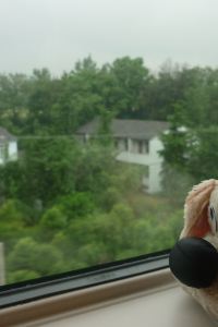 207515**** センチュリオンホテル＆スパ倉敷 クーポン