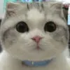 Avatar 1