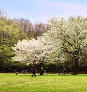 Fengyutongxing198 フレックステイイン白金 クーポン