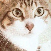 Zuiguidecuo ROUTE飯店-信濃大町站前優惠