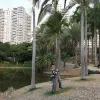 Avatar 1