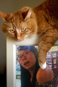 Xiaoziyaozai 西寧青海開元大飯店優惠