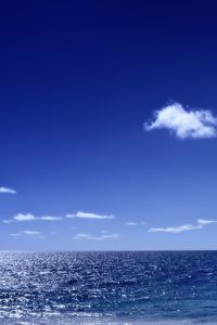 elainenova ホテル京阪 天満橋 クーポン