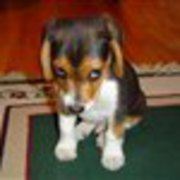 Erliangliangma 深圳中洲聖廷苑酒店優惠