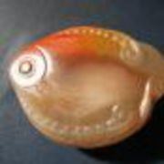 kevinjiang5 渋温泉　湯本旅館 クーポン