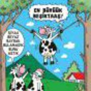 jolin_zhu 芭達雅皇家克里夫海灘露台飯店優惠