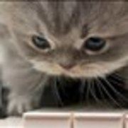 Feixiangdezhu2022 天然温泉 鶴港の湯 ドーミーインPREMIUM長崎駅前 クーポン