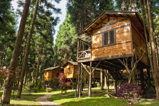 咸丰坪坝营森林酒店显示所有113条点评 环境优雅 不错,小木屋独栋的