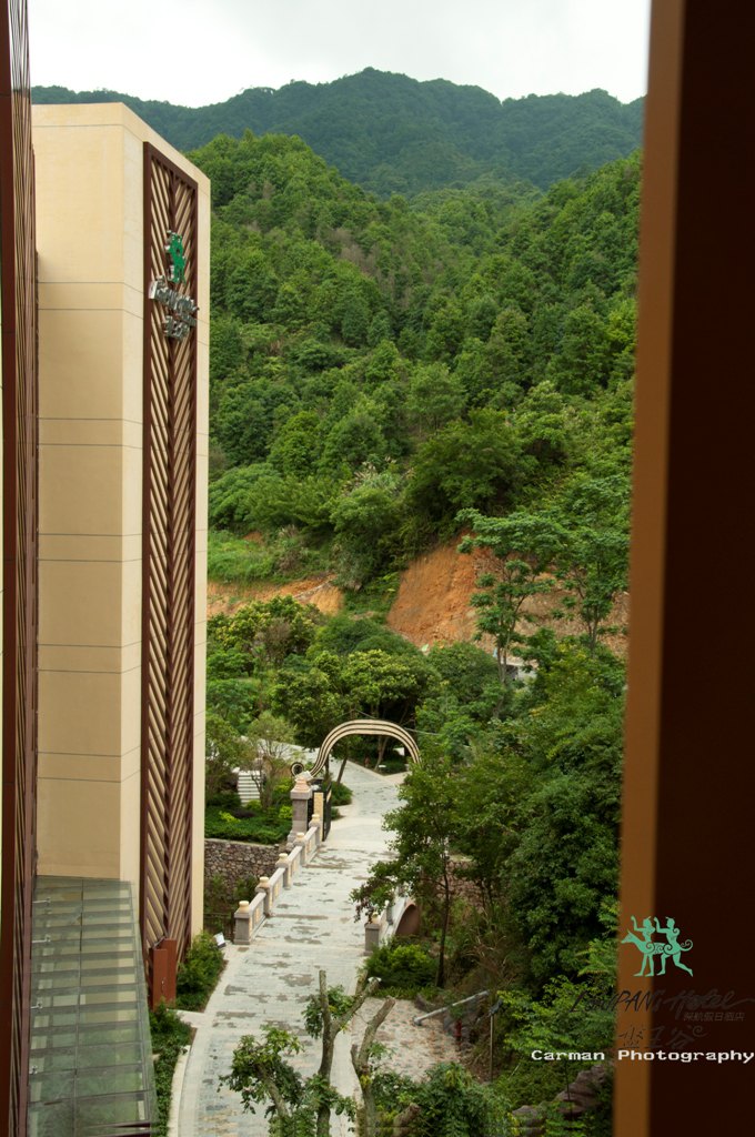 金秀盘王谷酒店 - 酒店景观