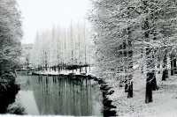 Dongjiao State Guest Hotel Hotels in Shanghai