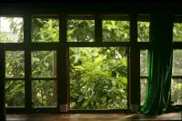 Dali Ankangyu Homestay