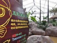 衡水泰华温泉大酒店 - 健身娱乐设施