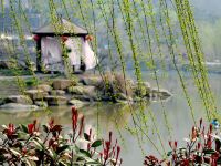 杭州同家乡村度假酒店 - 酒店景观