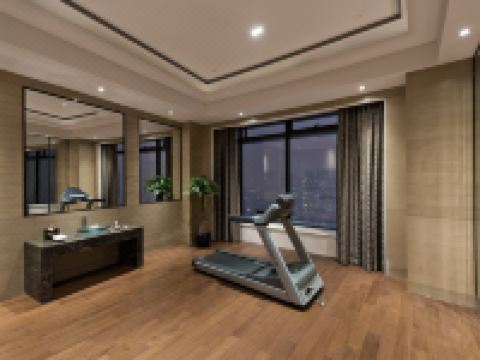 上海中星铂尔曼大酒店 - 其他