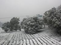 西湖茶农客栈 - 其他