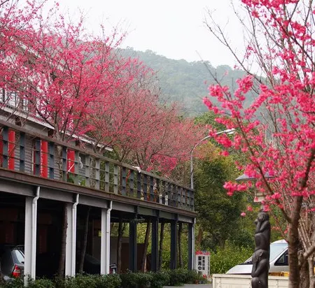 Sanyi Blossom Art Village Holiday Club