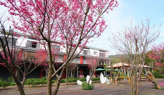 Sanyi Blossom Art Village Holiday Club Hotels in Miaoli