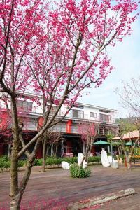 苗栗火炎山溫泉遊樂區附近住宿 人氣飯店優惠推薦訂房 Trip Com