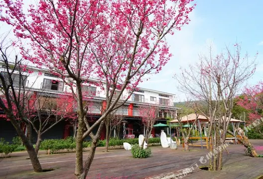 苗栗三義藝術村櫻花渡假會館