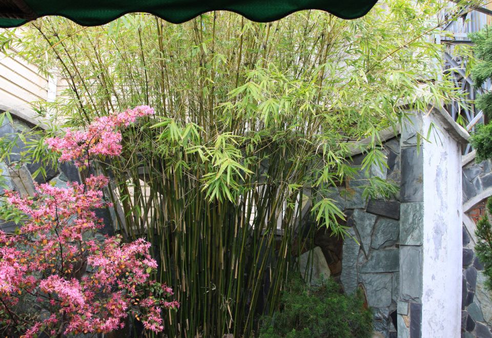 Brilliant Hotel Danang Over view