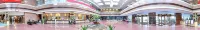 XIAN HOTEL - สัตว์เลี้ยง