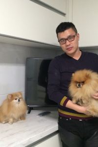 1862022**** 新加坡奧克伍德開放式公寓飯店優惠