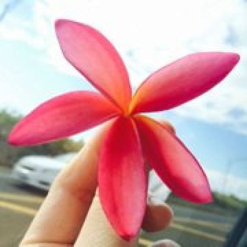 Huyunshanfang 星野リゾート 界 霧島 クーポン